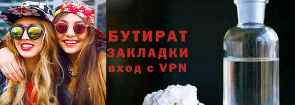 шишки Инсар