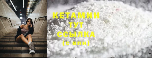 шишки Инсар