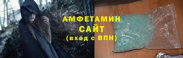 шишки Инсар