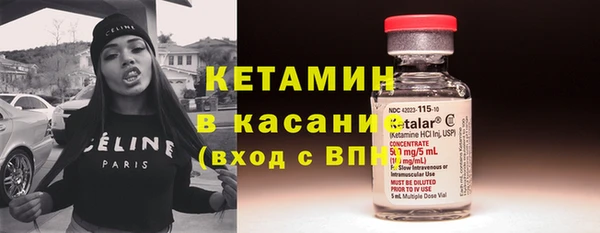 шишки Инсар