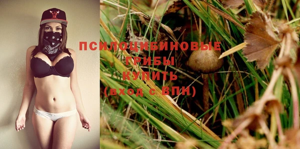 шишки Инсар