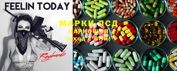 шишки Инсар