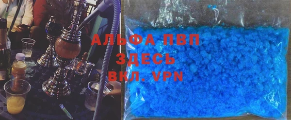 шишки Инсар