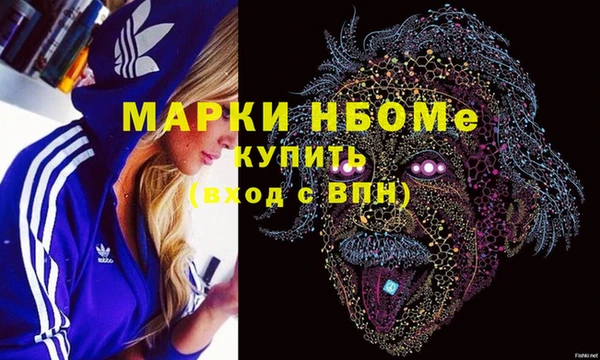 шишки Инсар