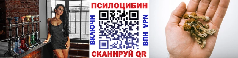 кракен как зайти  Холм  Псилоцибиновые грибы прущие грибы 